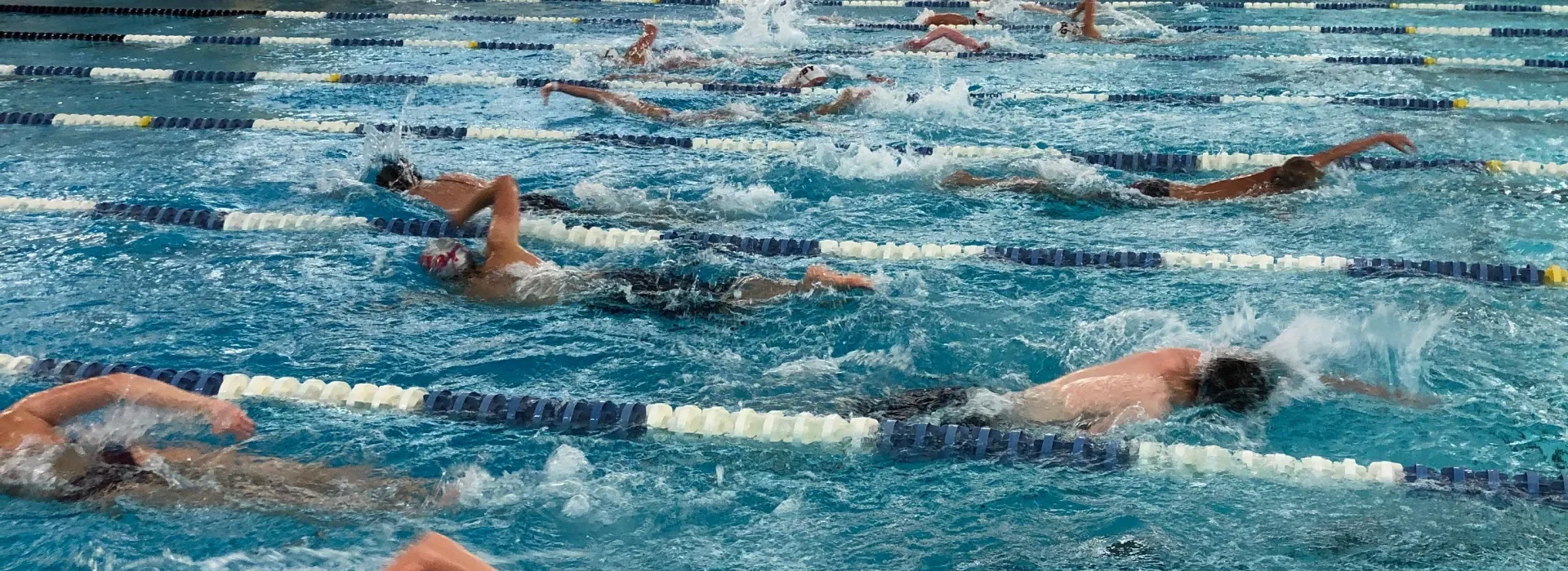 Wide view of swimmers practicing laps.